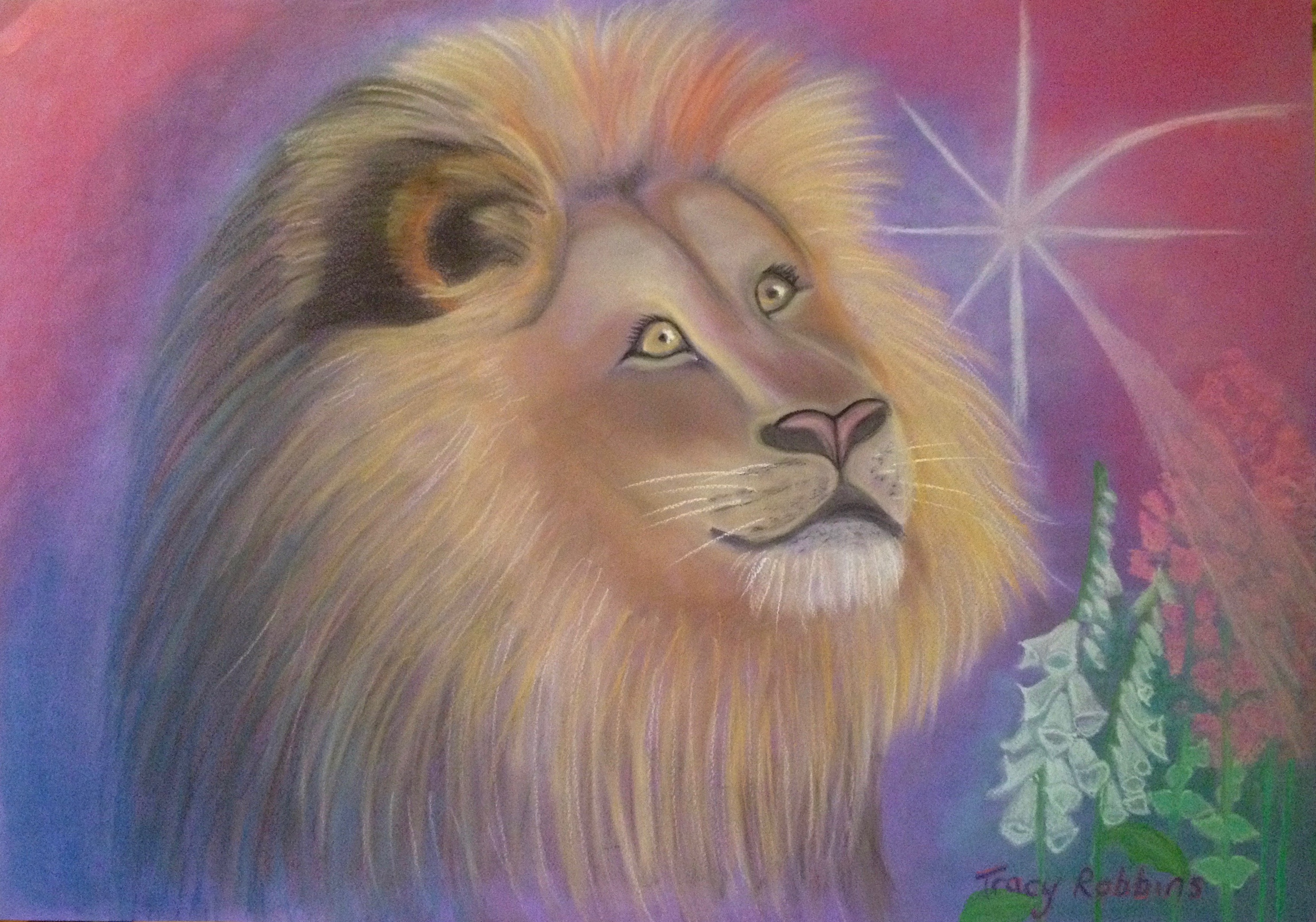 star lion pastel painting by Tracy Robbins