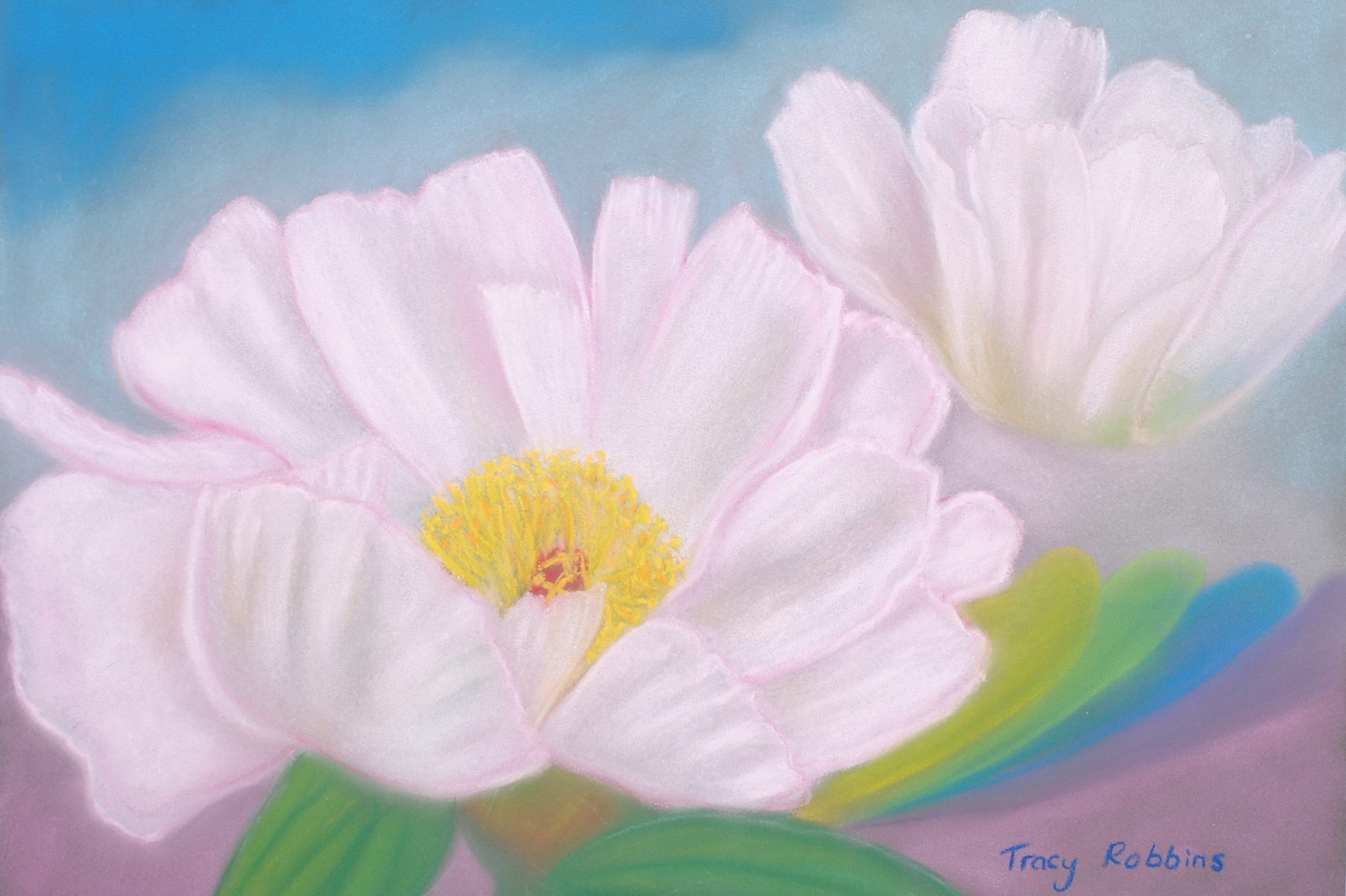 peony flower by Tracy Robbins